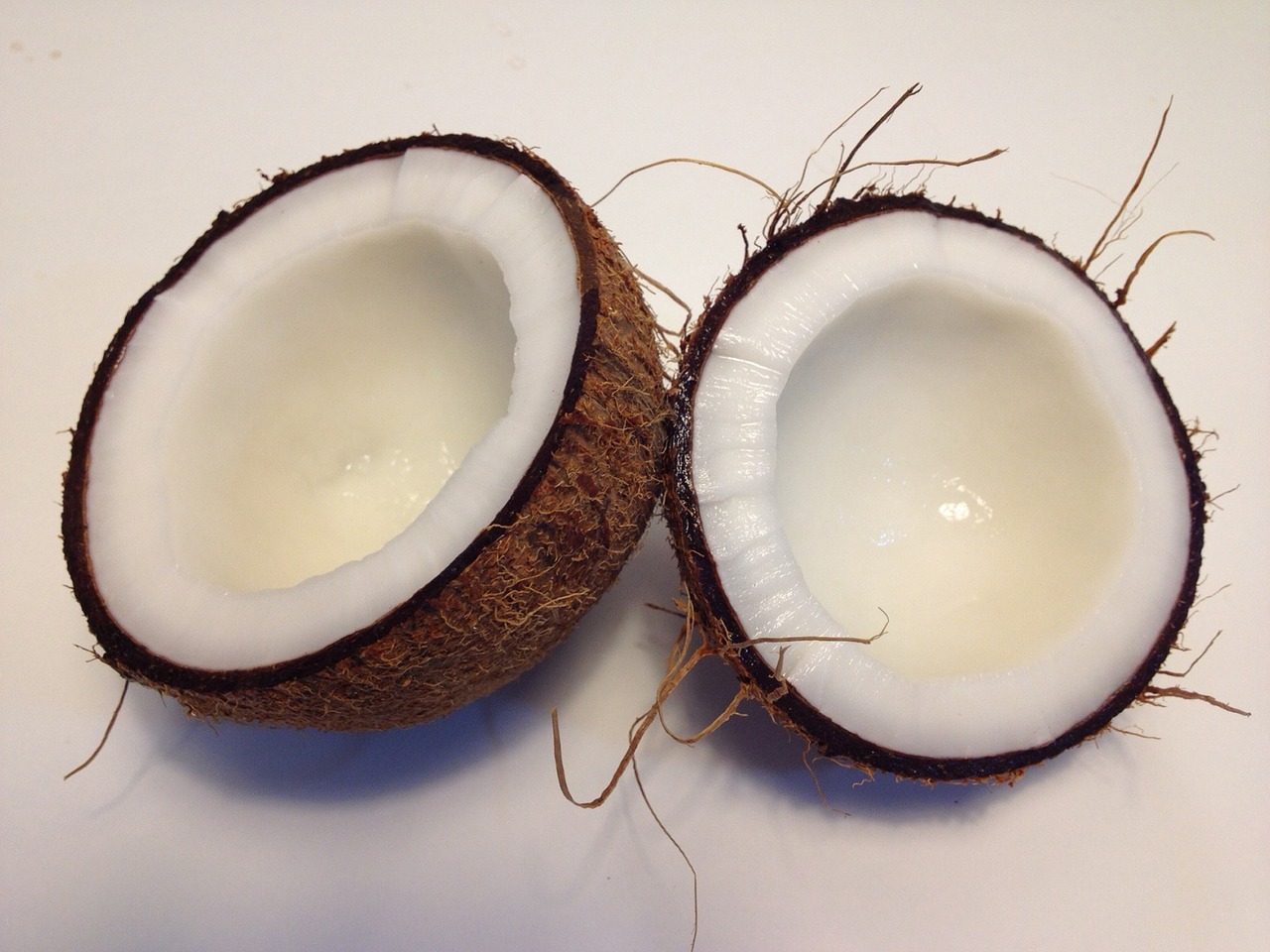 coconut-1771527_1280
