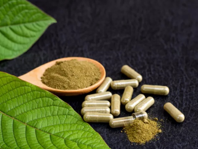 druhy kratomu
