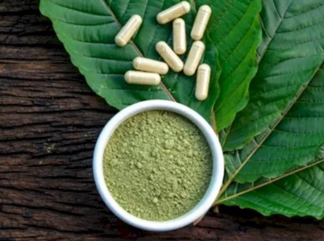 druhy kratomu